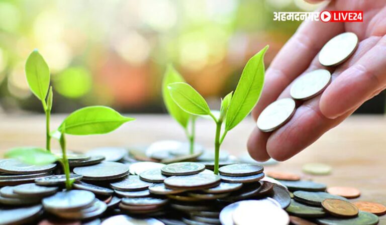 Investment Scheme