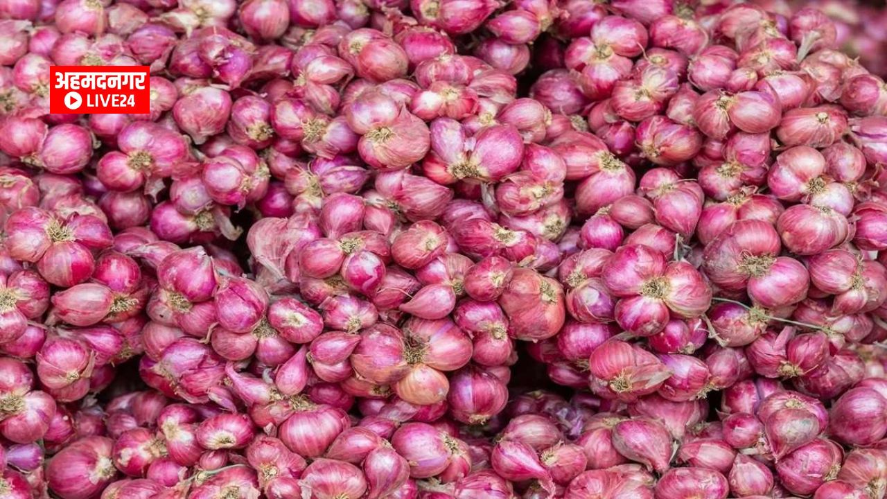 Onion Price