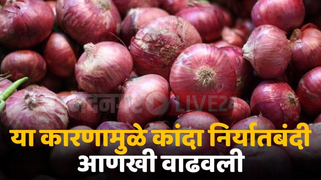 onion export policy