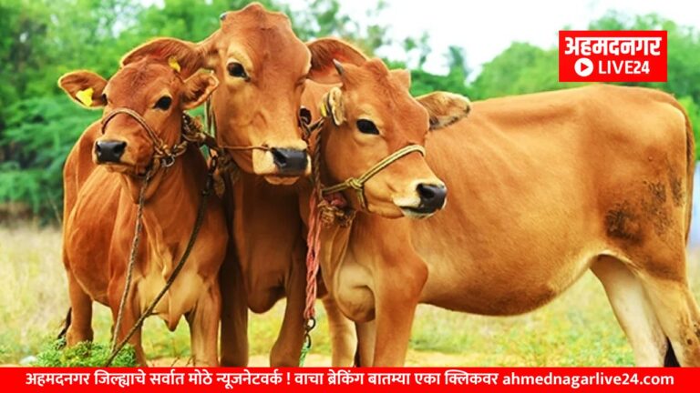 Maharashtra News