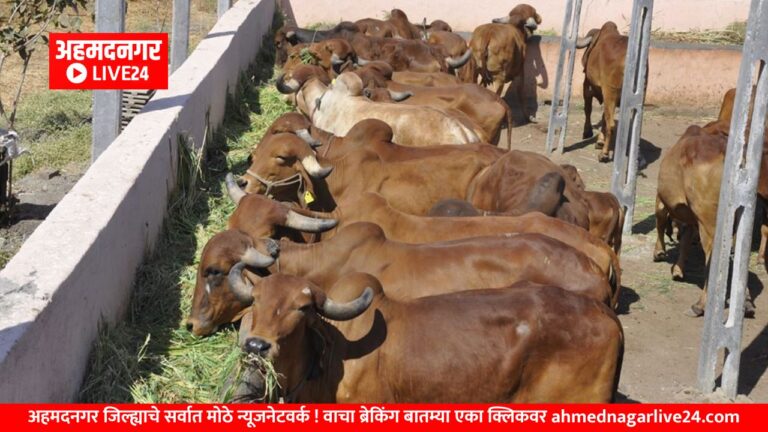 Maharashtra News