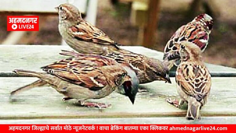 Ahmednagar News