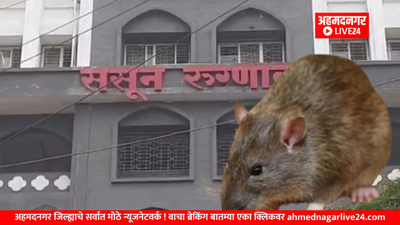 Maharashtra News