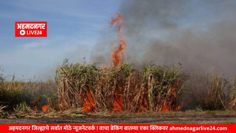 Ahmednagar News
