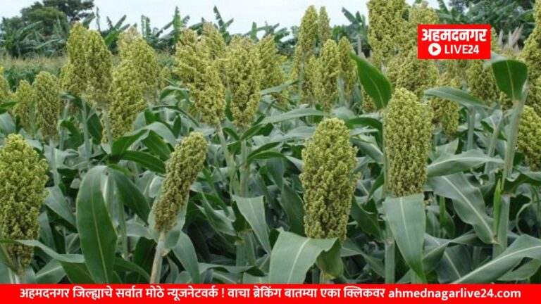 Maharashtra News