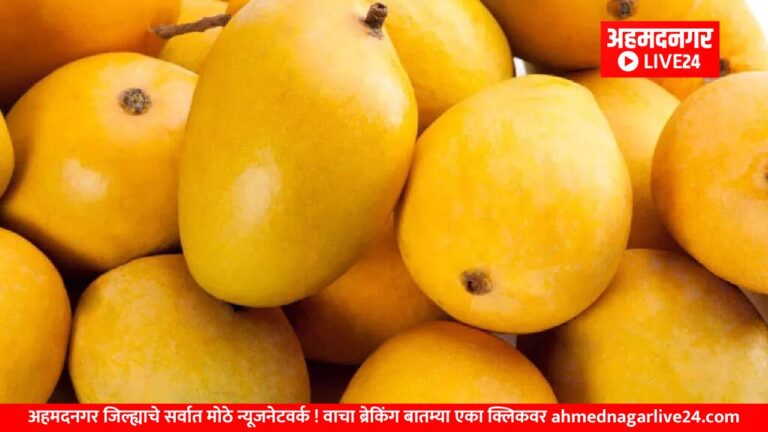 Maharashtra News