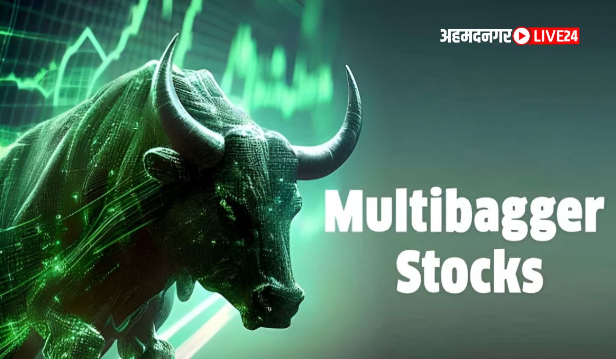 Multibagger Stock