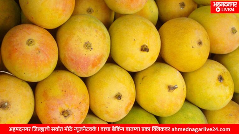 devgadh mango