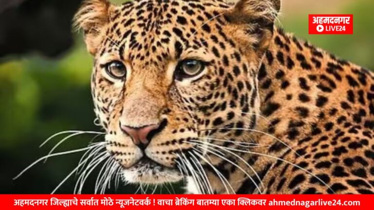 Ahmednagar News