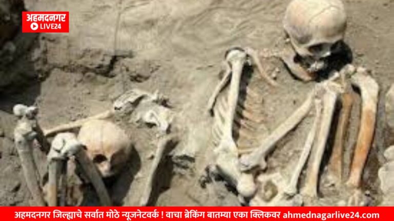 Marathi News