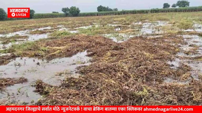 Ahmednagar News