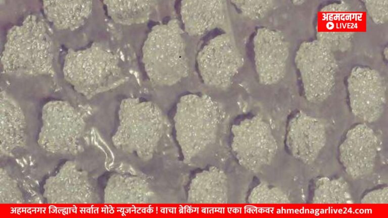 Ahmednagar News