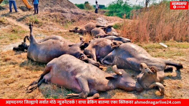 Ahmednagar News