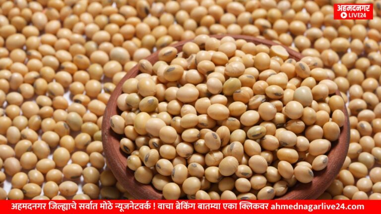 soya farming