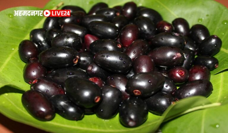 Jamun Leaves Benefits