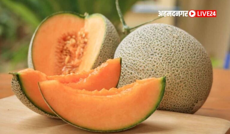 Muskmelon Seeds Benefits