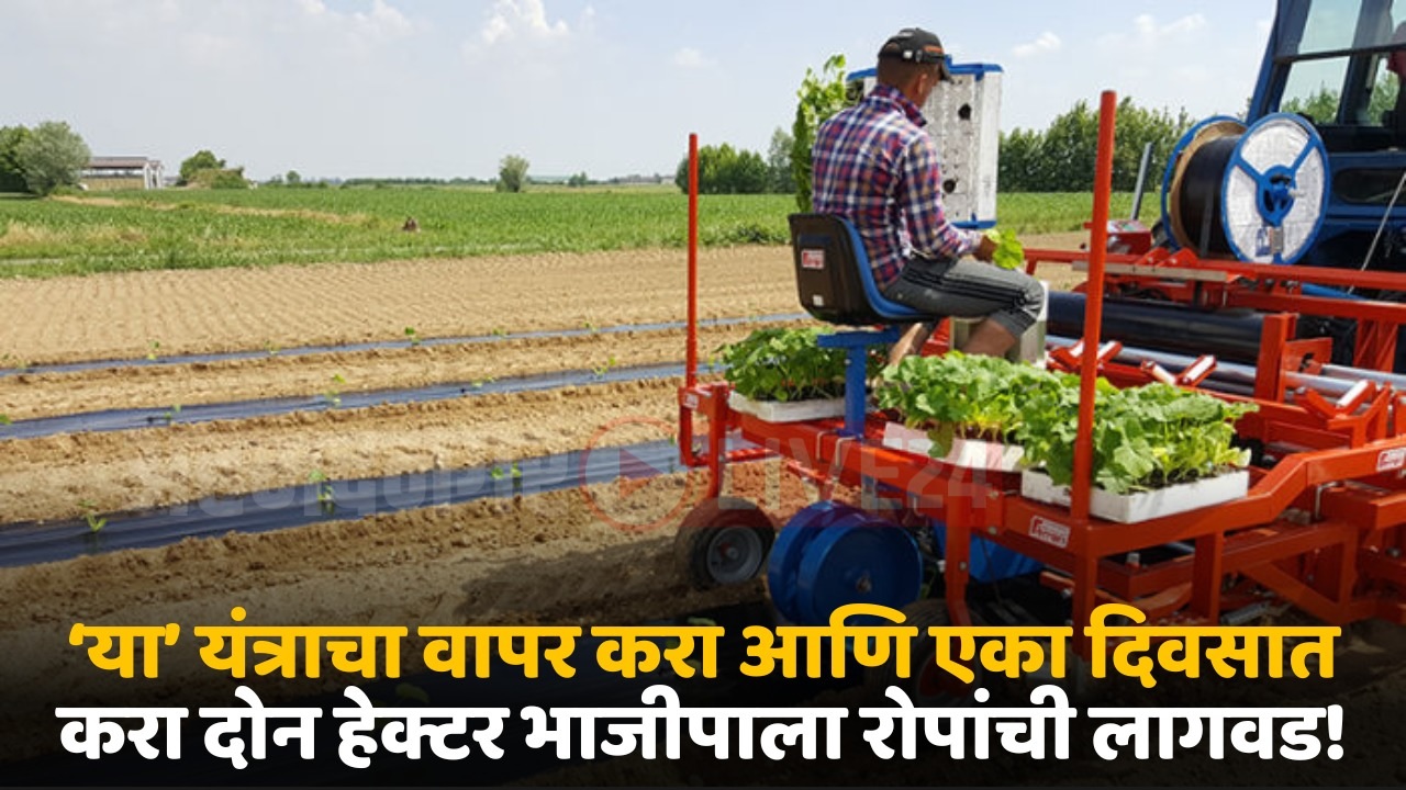 vegetable transplant machine