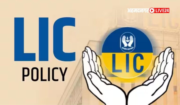 LIC policy