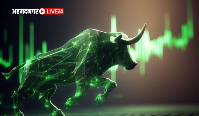 Multibagger stocks 2024