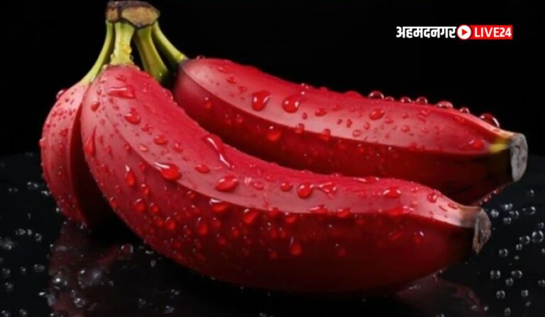 Red Banana