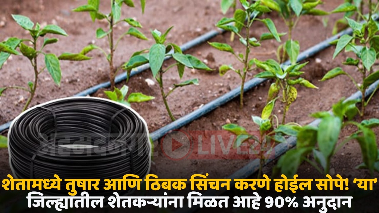 micro irrigation scheme