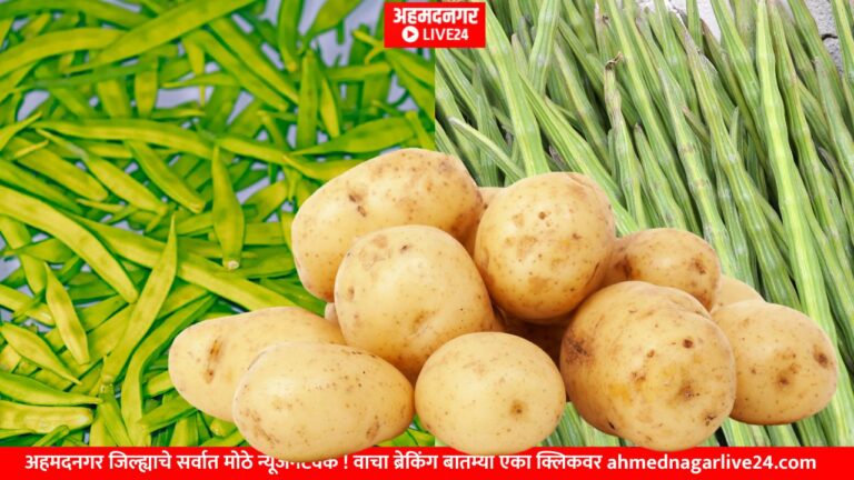bhajipala