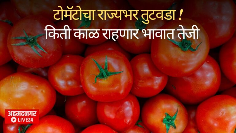 tomato