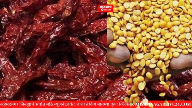 masala