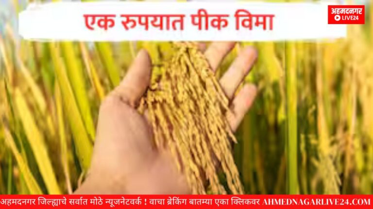 एक रूपयात पीकविमा