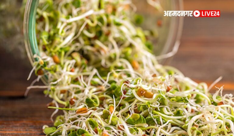 Amazing Benefits Of Sprouts