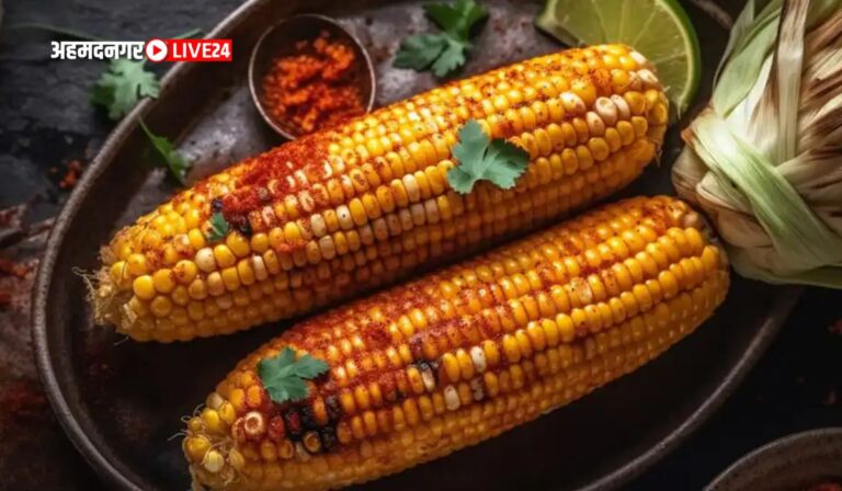 Corn for Weight Gain