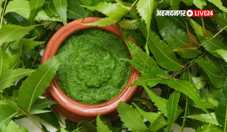 Neem Leaves Benefits