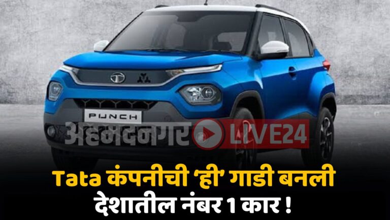 Tata Punch Sales In June