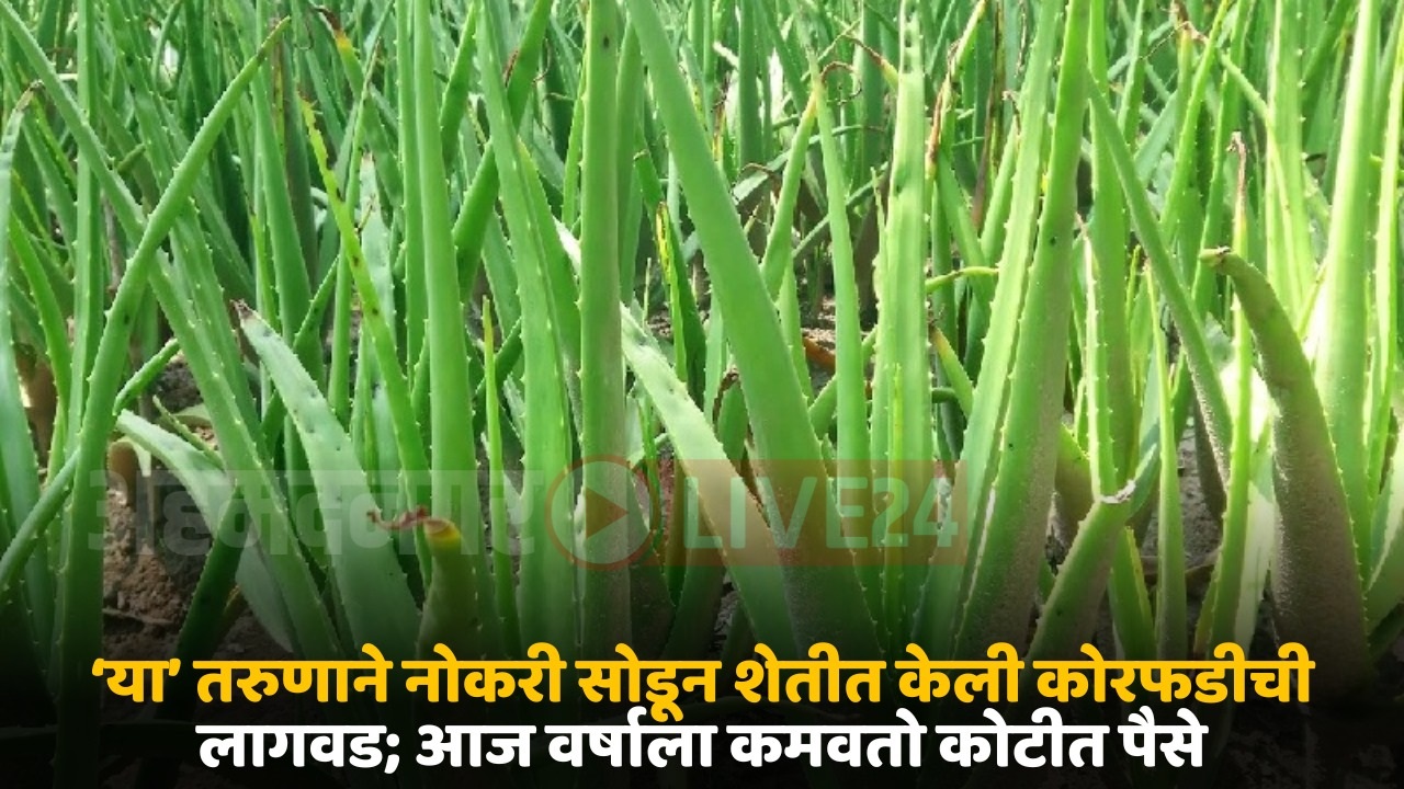 farmer success story