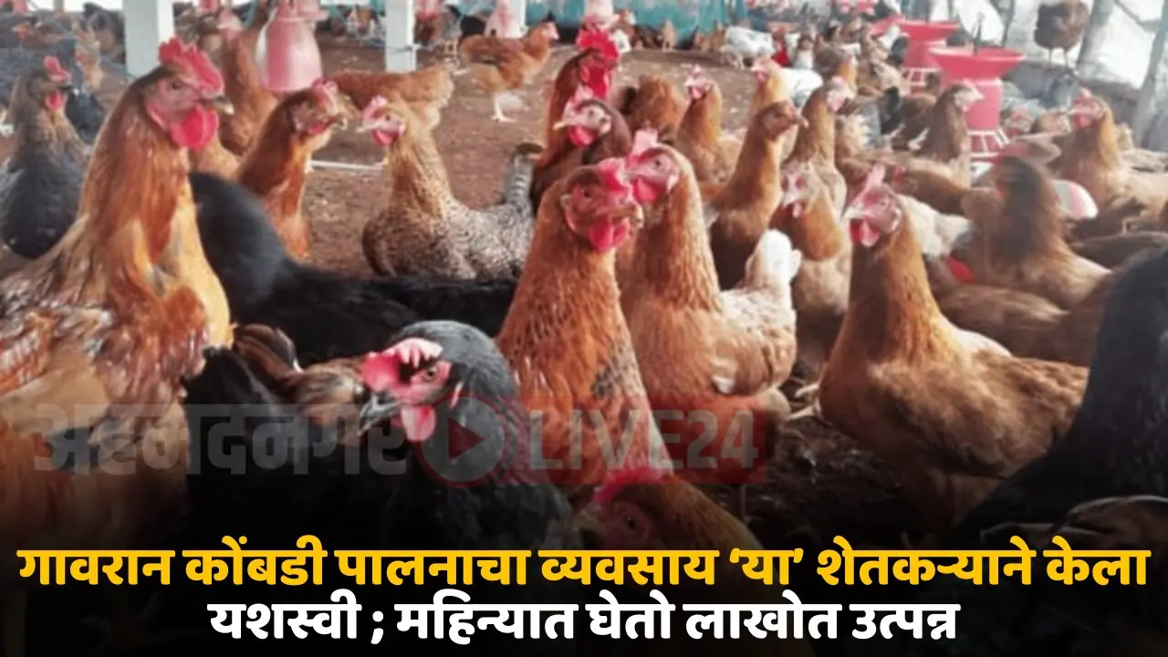 poultry farming
