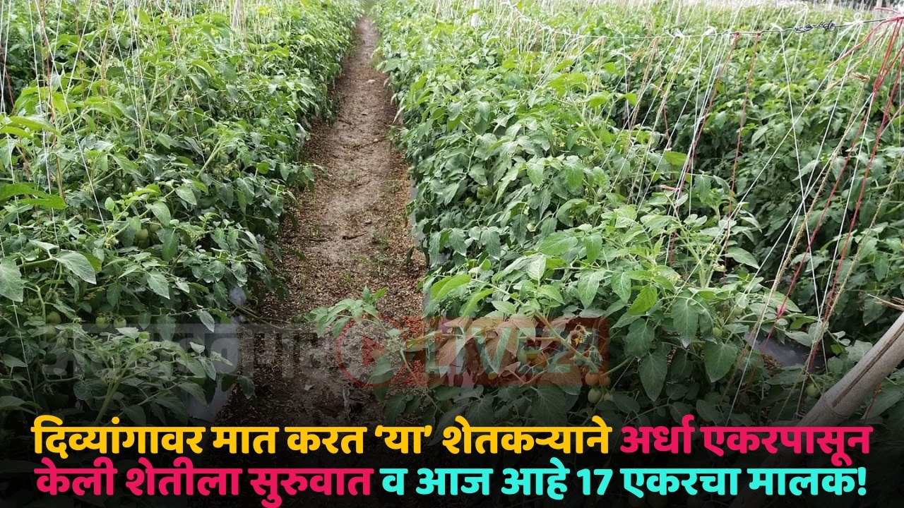 farmer success story