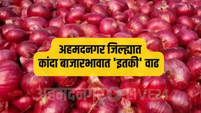 Ahmednagar Onion Rate