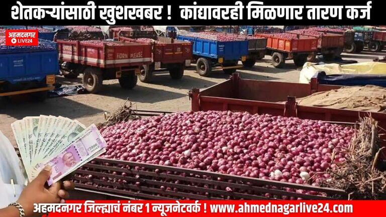 onion