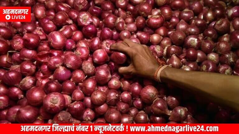 onion