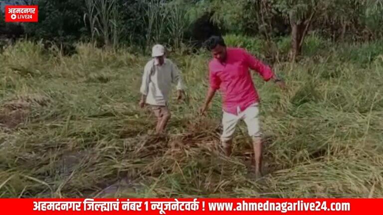 ativrusthi