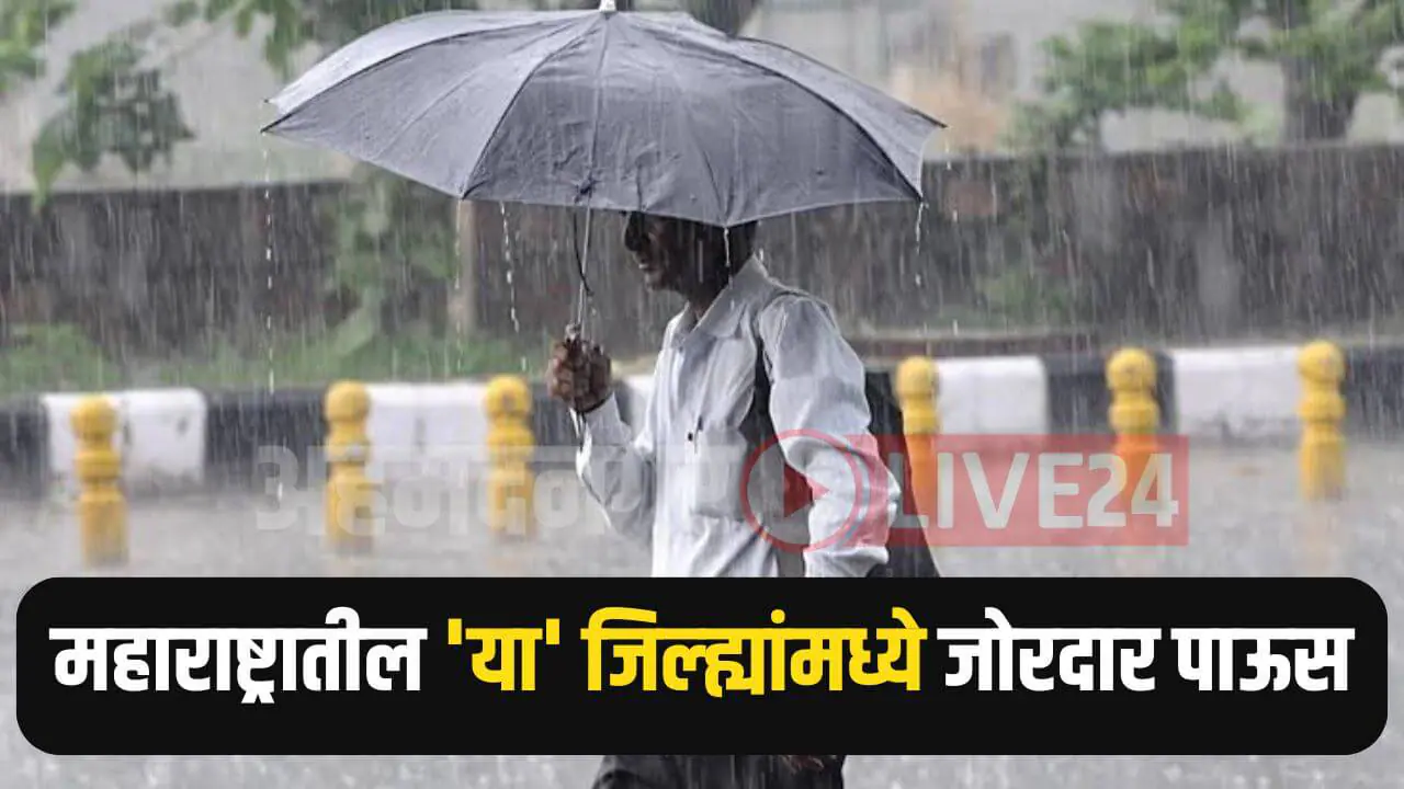 Maharashtra Rain