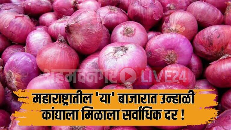 Onion Rate