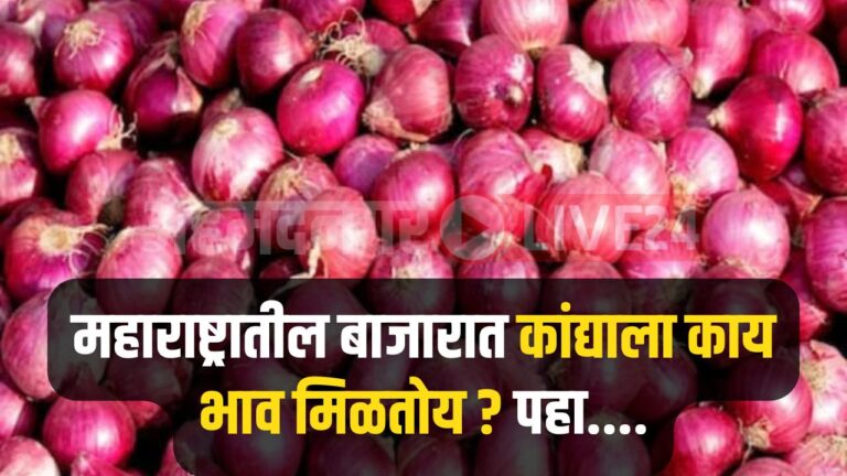 Onion Rate Maharashtra