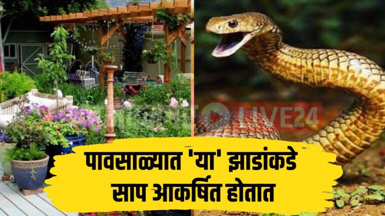 Snake Viral News