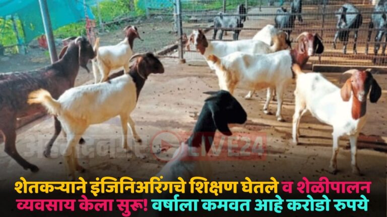 goat rearing business