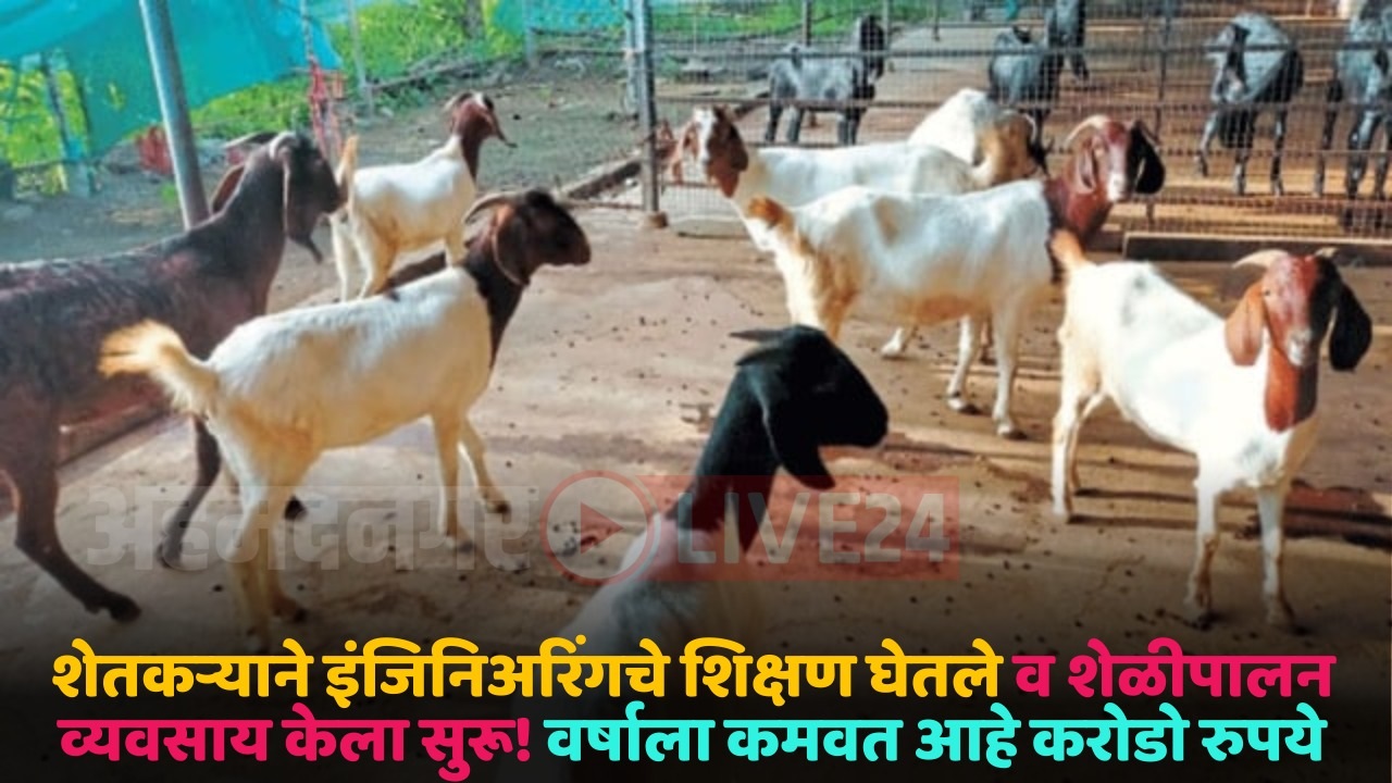 goat rearing business