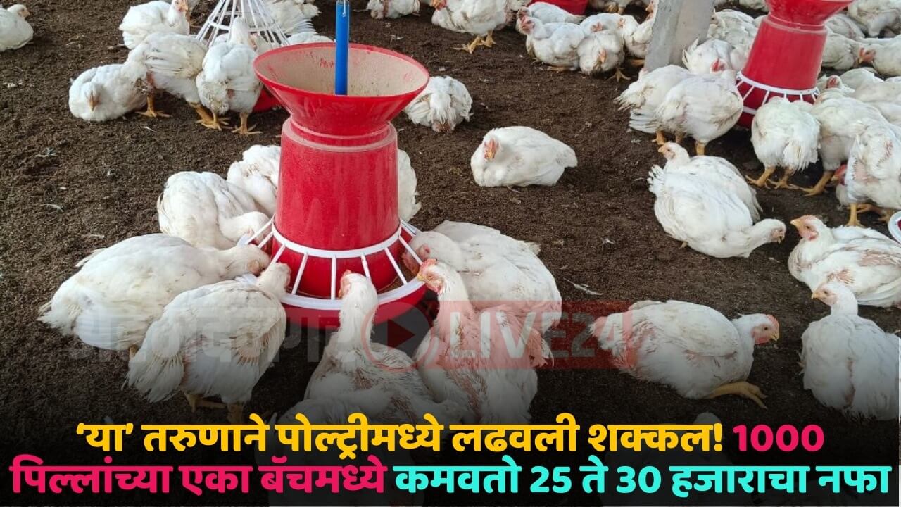 poultry farming