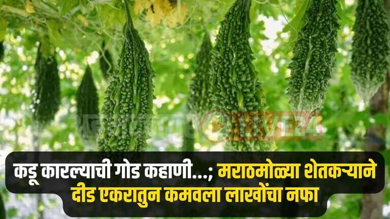 Farmer Success Story