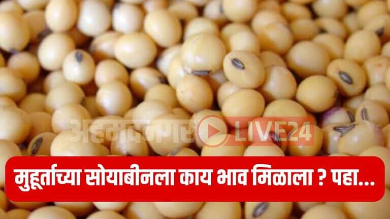 Soybean Rate Maharashtra