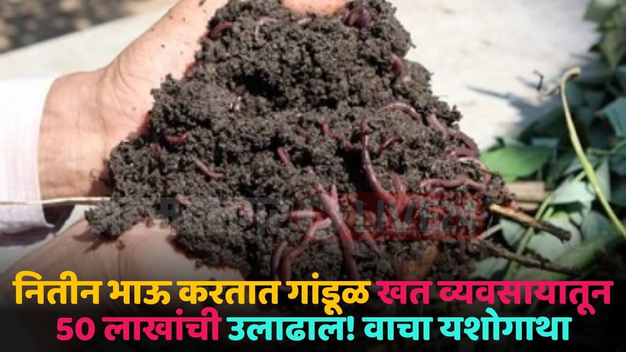 vermi compost